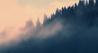 a mountain with a lot of trees in the background